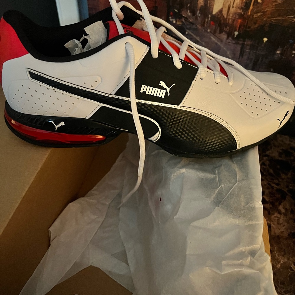 Brand new in the box. Never been worn